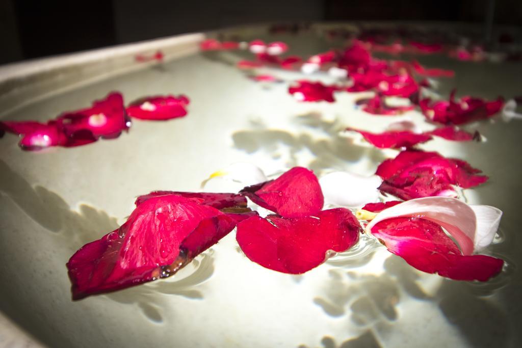 Serenity Ubud Villa & Spa Esterno foto