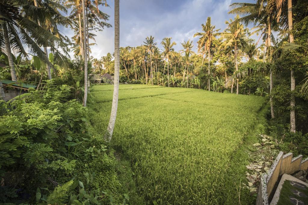 Serenity Ubud Villa & Spa Esterno foto