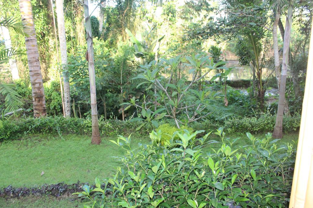 Serenity Ubud Villa & Spa Esterno foto